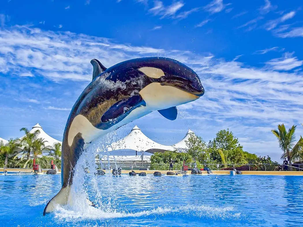 Loro Parque