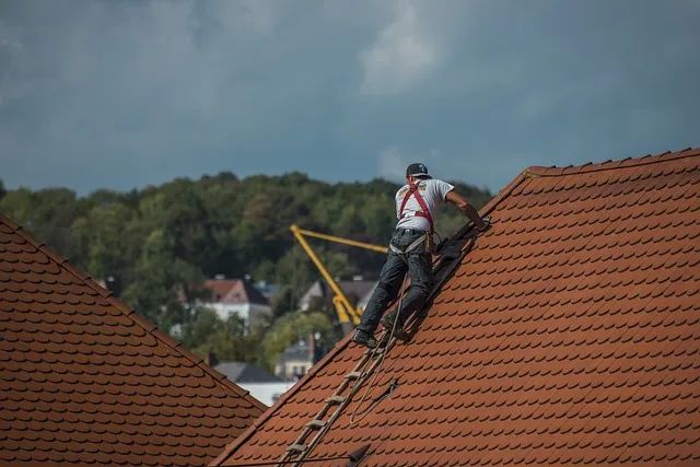 Jakie dachy można odnowić przy pomocy hydronylonu