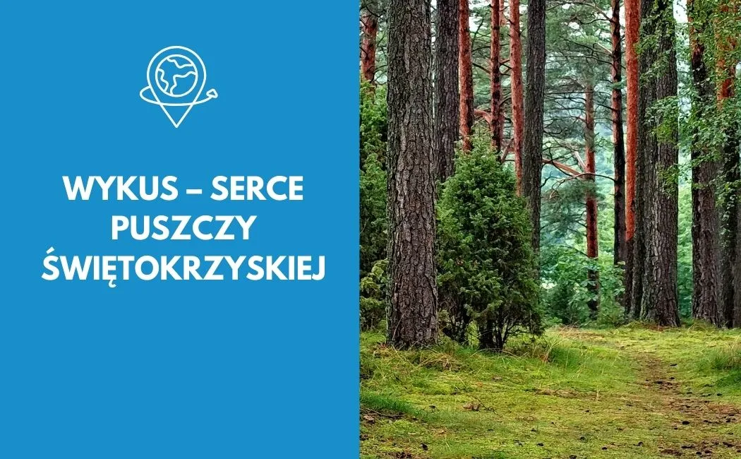 Wykus serce Puszczy Świętokrzyskiej. Historia, przyroda i szlaki turystyczne blisko Starachowic