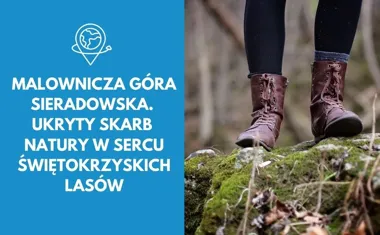 Malownicza Góra Sieradowska. Ukryty skarb natury w sercu świętokrzyskich lasów