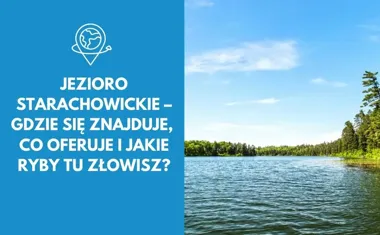 Jezioro Starachowickie  gdzie się znajduje, co oferuje i jakie ryby tu złowisz?
