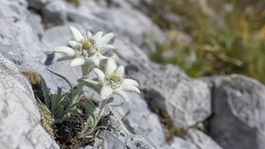Geopark nad Kamienną coraz bliżej. Naukowcy spotkali się w Starachowicach