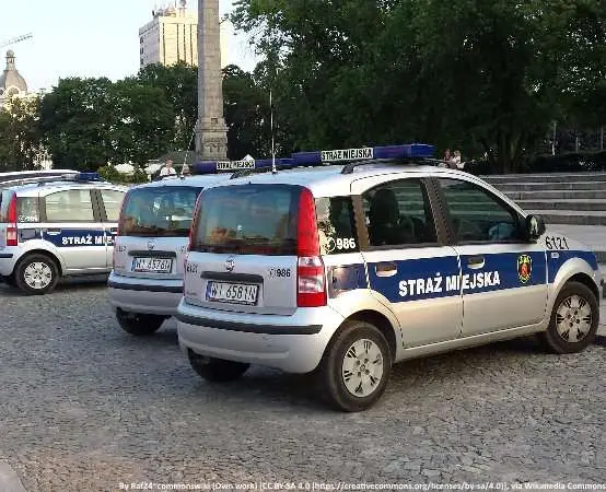 Przywiązał psa kablem do płotu - zwierzę uwolnione i przekazane weterynarzowi