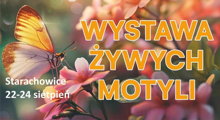 Obrazek przedstawia grafikę promocyjną wydarzenia Wystawa żywych motyli w Starachowicach
