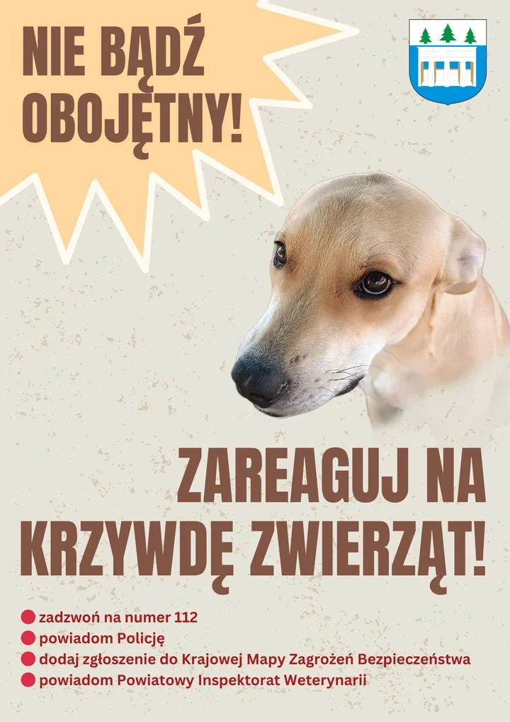 Zaniedbanie i okrucieństwo wobec zwierząt – policja i urząd apelują o zgłaszanie przypadków