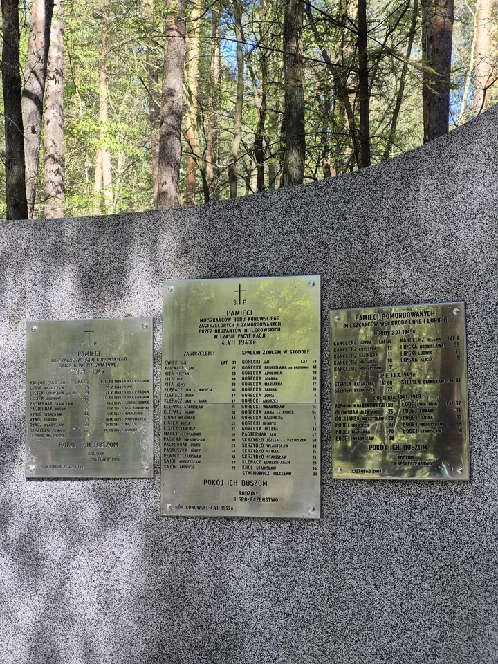 Przeżyła pacyfikację Boru Kunowskiego. Jej wspomnienia wracają przed rocznicą