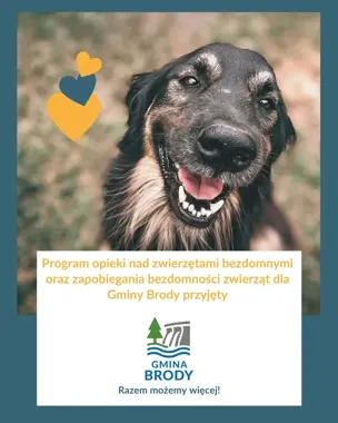 Brody stawiają na bezdomne zwierzęta i wydają 100 tys. zł na ich opiekę