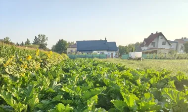 Rolnicy mają czas do połowy czerwca. Ruszył nabór do konkursu o najpiękniejszą zagrodę