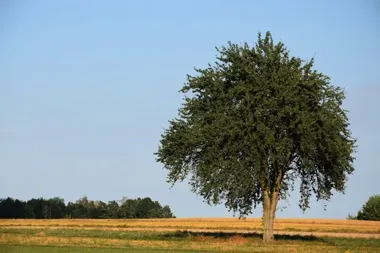 Agroturystyka zyska własną mapę regionu i nowy nabór już trwa